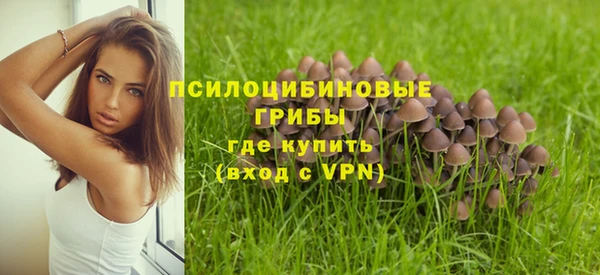 кокаин премиум Алексин
