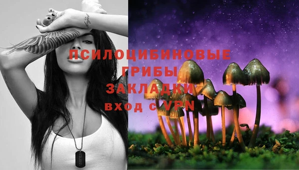 крисы Алексеевка